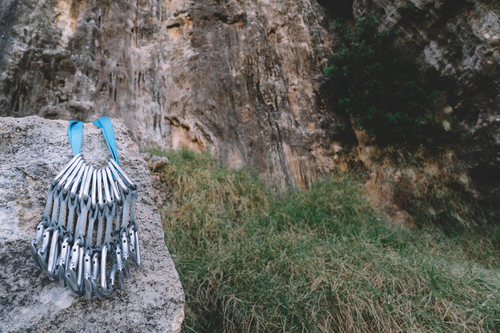 Trayectoria y Archivo Histórico: El Legado de C. Creator en el Rock